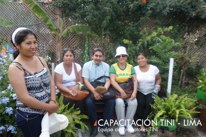 capacitacion-tini-lima-2016