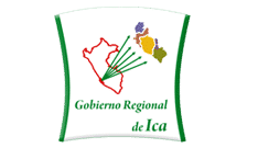 gobierno-regional-de-ica