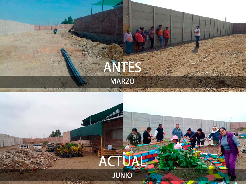biohuerto del adulto mayor