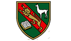 San-Silvestre-School