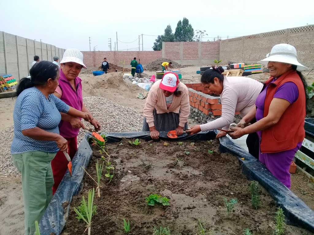 preparacion-del-terreno