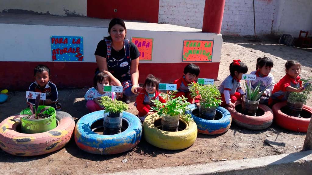 identificacion-de-las-plantas-segun-los-tercios