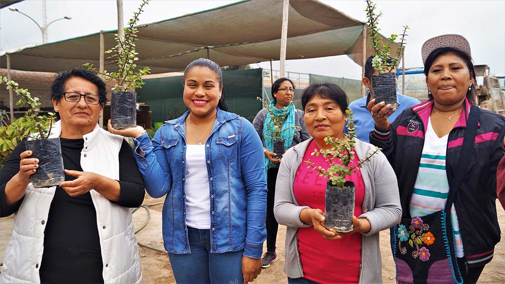 plantas-del-biohuerto