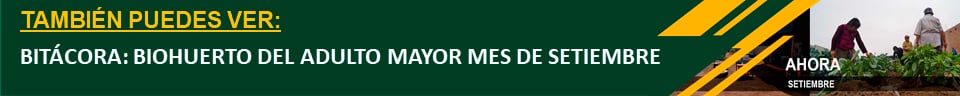 bitacora-biohuerto-del-adulto-mayor-setiembre