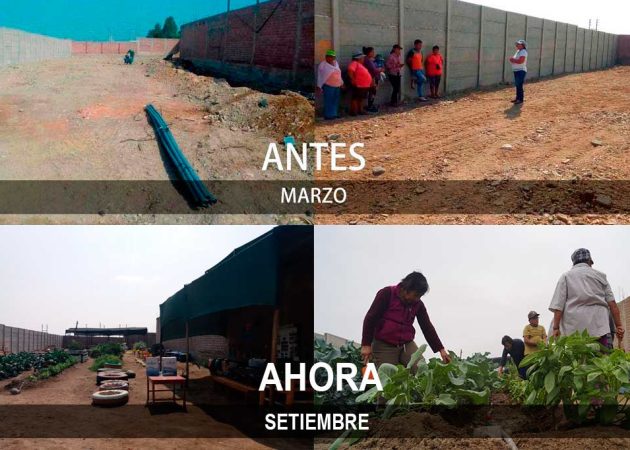 Bitácora del biohuerto del adulto mayor mes de setiembre