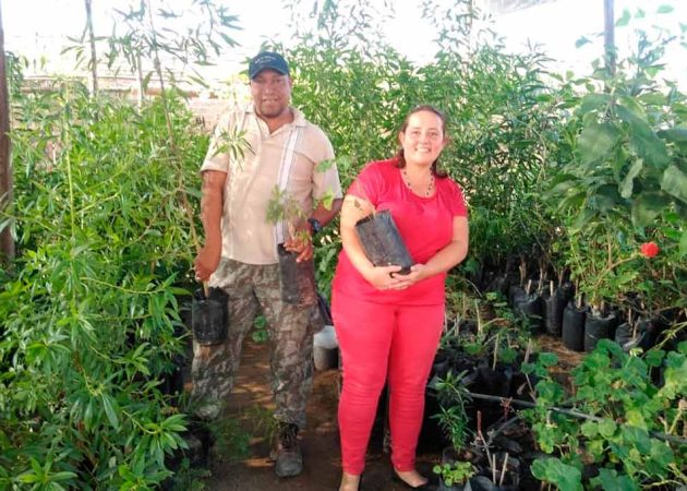Fundación La Calera dona plantas al Centro Cultural Amador Ballumbrosio