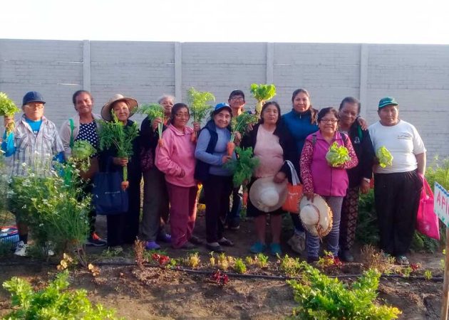 Bitácora del Biohuerto del Adulto Mayor