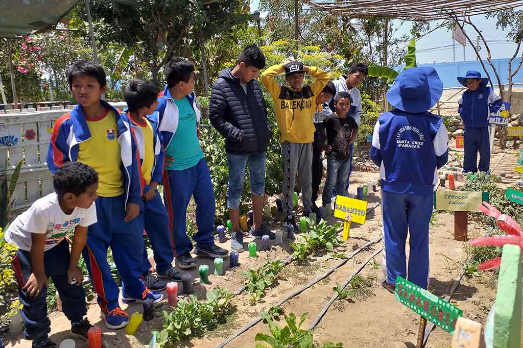 niños-en-el-bosque-mágico-de-santa-cruz