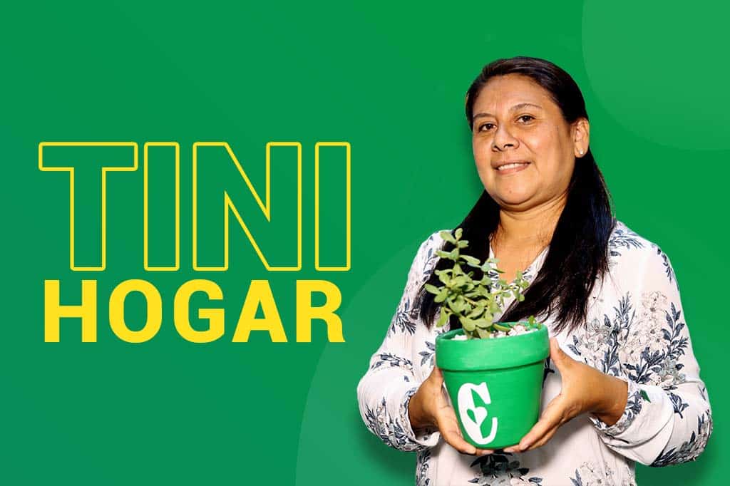 portada tini hogar