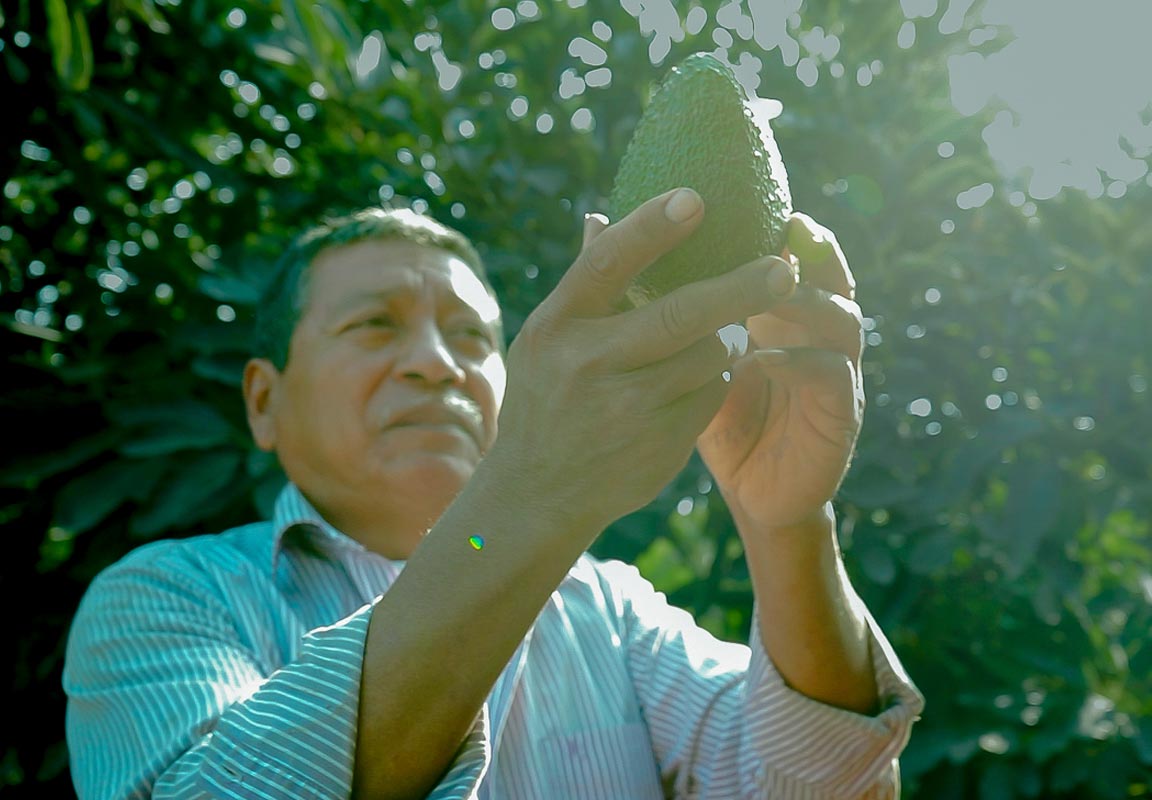enprendedores-agricolas-2023