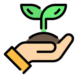 plantas sembradas
